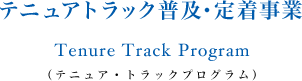 テニュアトラック普及・定着事業 Tenure Track Program テニュア・トラックプログラム